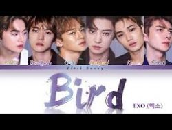 Lirik Lagu “BIRD” – EXO