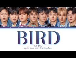 Lirik Lagu “BIRD (THE BEST Ver.)” – EXO