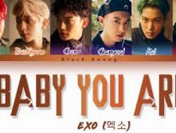 Lirik Lagu Baby You Are – EXO: Sebuah Pengakuan Romantis