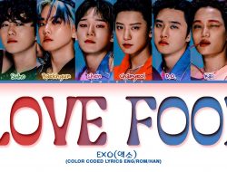 Lirik Lagu “Love Fool” – EXO