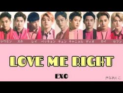 Lirik dan Terjemahan “Love Me Right” – EXO