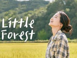 Melarikan Diri dari Keramaian: Sinopsis “Little Forest”