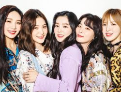 Lirik Lagu “Some Love” – Red Velvet: Cinta yang Manis dan Hangat